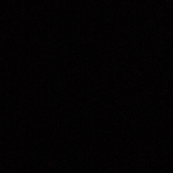 Meet your Posher, Omari - Picture 1 of 1